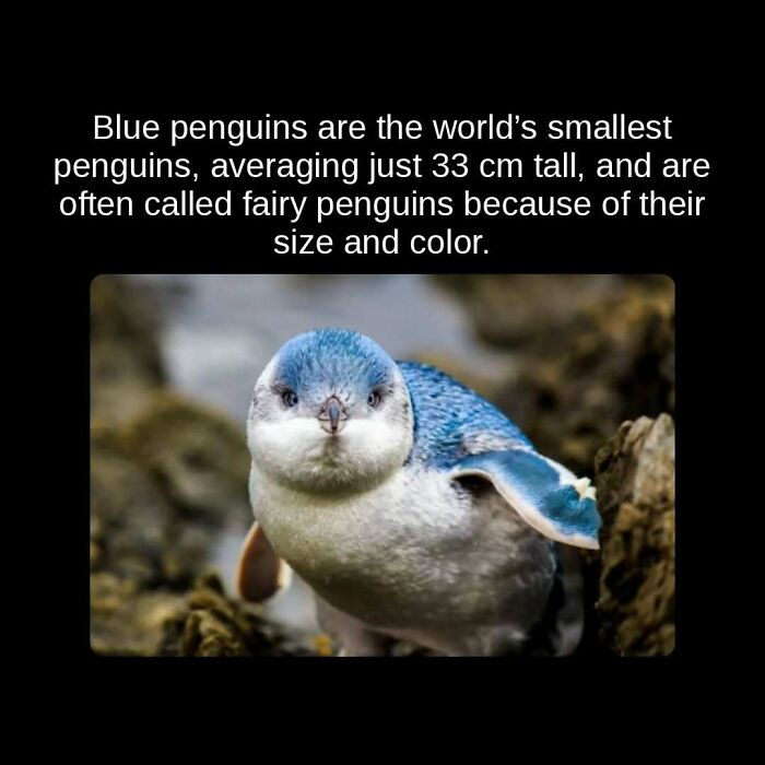 81 Weird But True Facts That'll Totally Surprise You