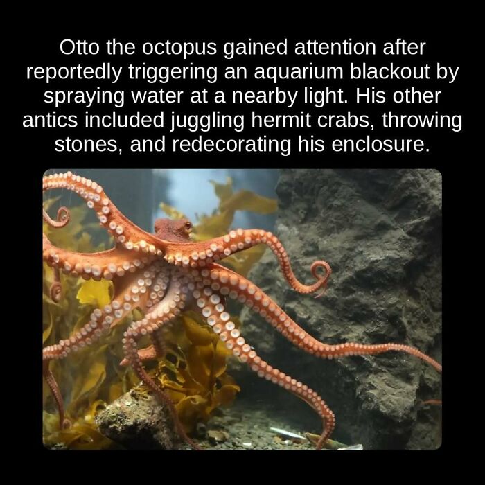 81 Weird But True Facts That'll Totally Surprise You