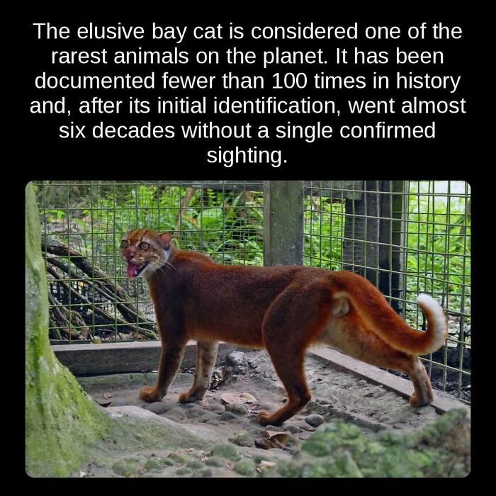 81 Weird But True Facts That'll Totally Surprise You
