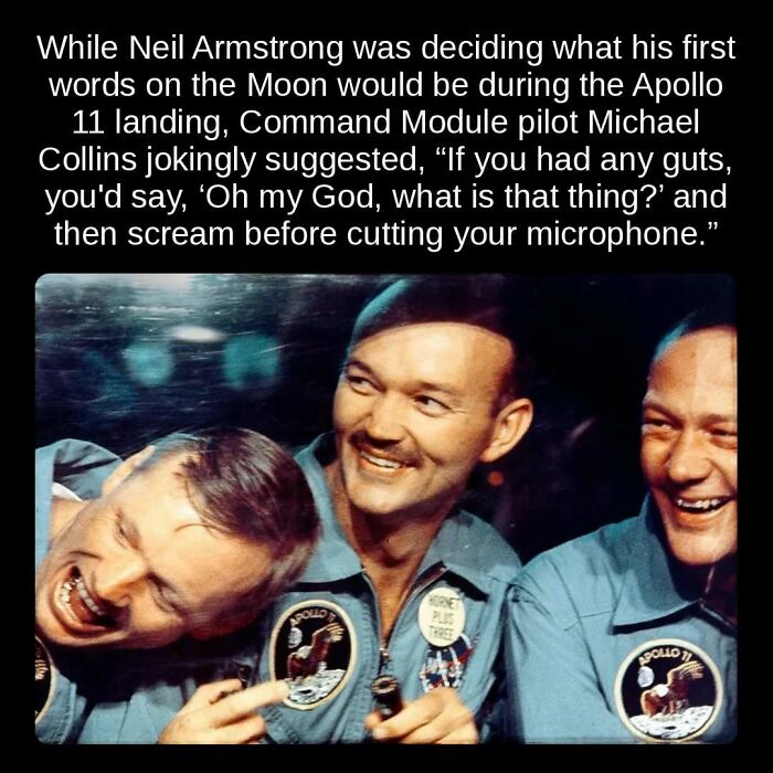 81 Weird But True Facts That'll Totally Surprise You