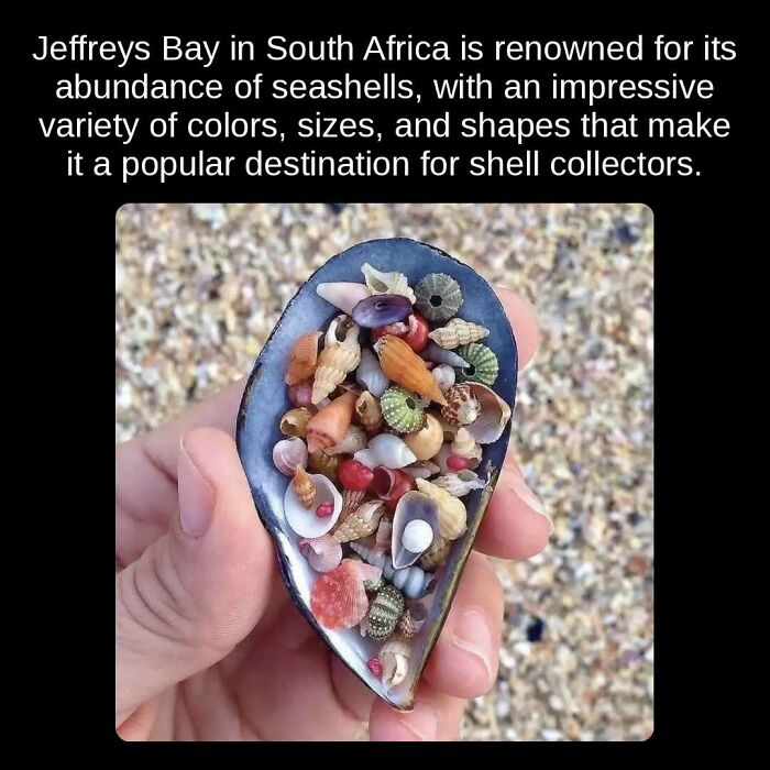 81 Weird But True Facts That'll Totally Surprise You