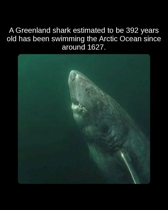 81 Weird But True Facts That'll Totally Surprise You