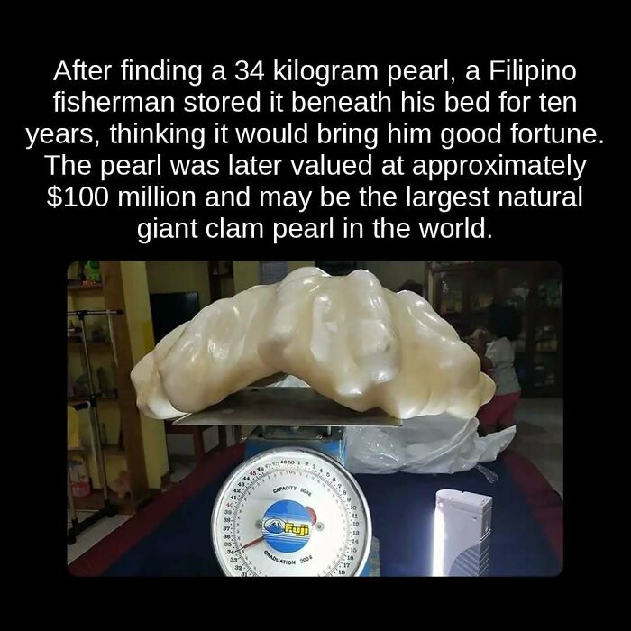 81 Weird But True Facts That'll Totally Surprise You