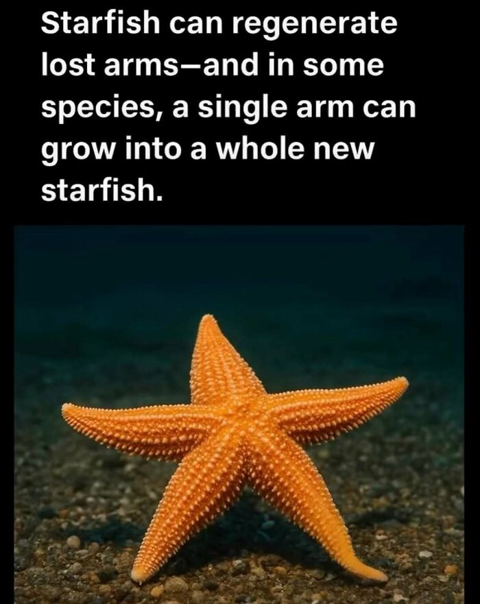 81 Weird But True Facts That'll Totally Surprise You