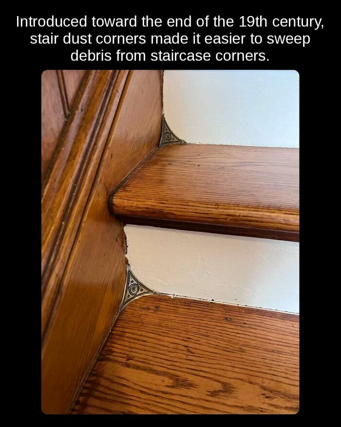 81 Weird But True Facts That'll Totally Surprise You