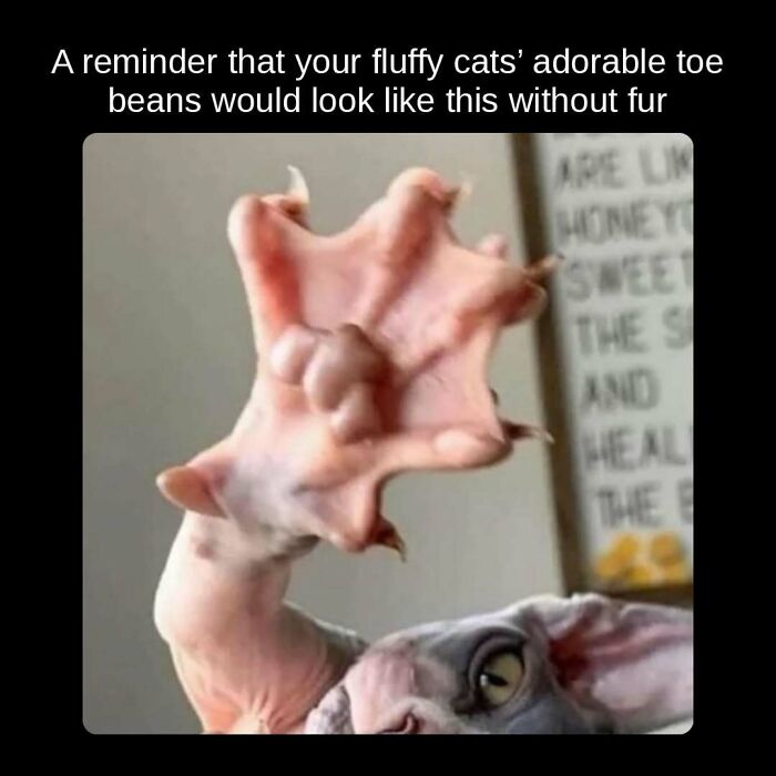 81 Weird But True Facts That'll Totally Surprise You