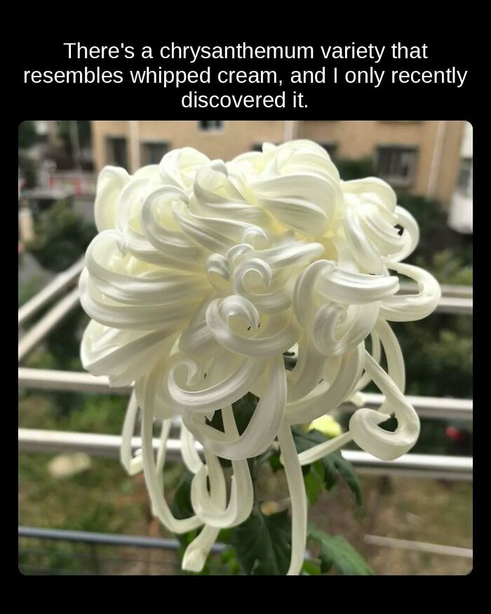 81 Weird But True Facts That'll Totally Surprise You