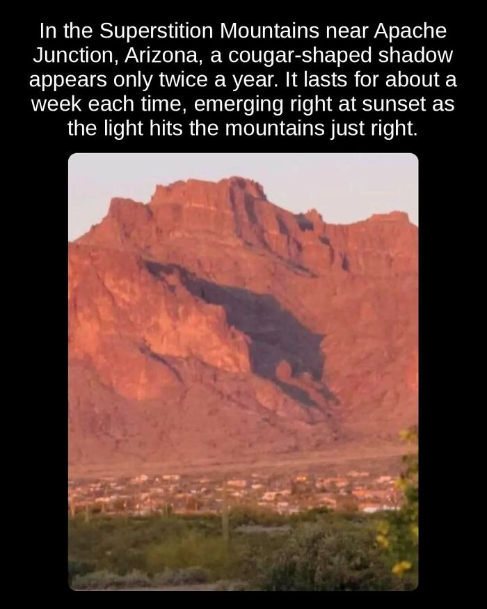 81 Weird But True Facts That'll Totally Surprise You