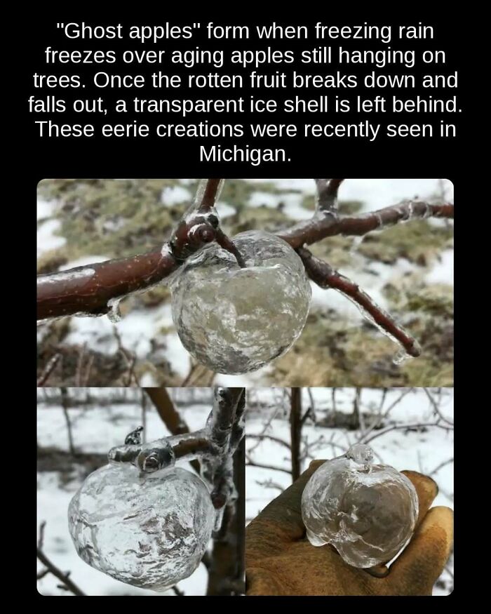 81 Weird But True Facts That'll Totally Surprise You