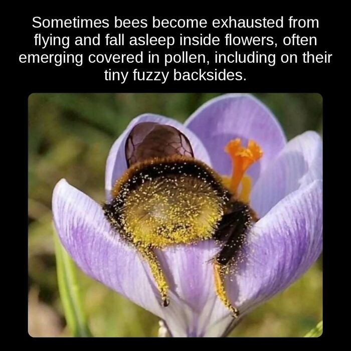 81 Weird But True Facts That'll Totally Surprise You