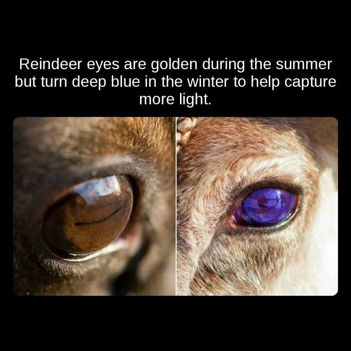 81 Weird But True Facts That'll Totally Surprise You