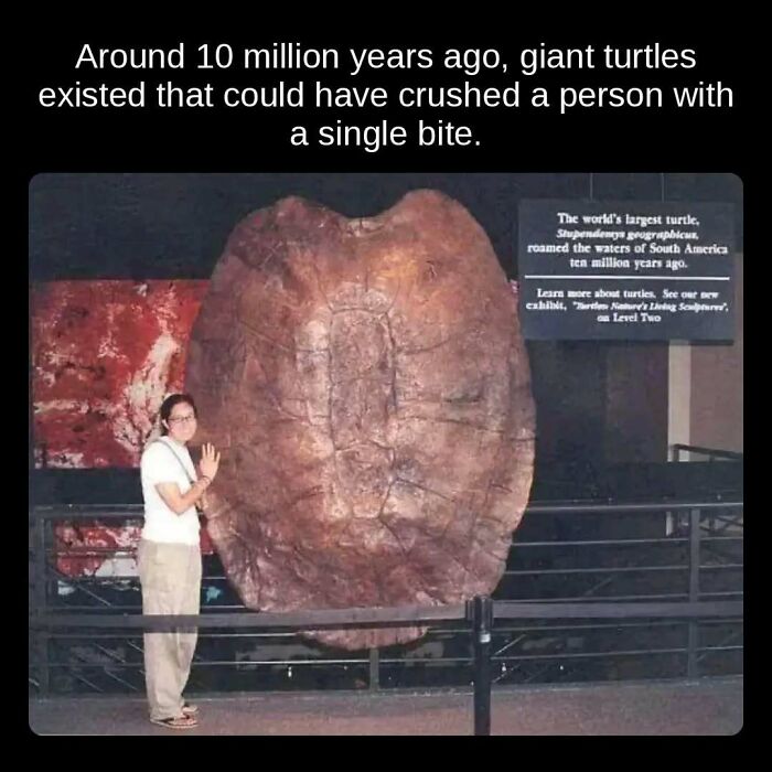 81 Weird But True Facts That'll Totally Surprise You
