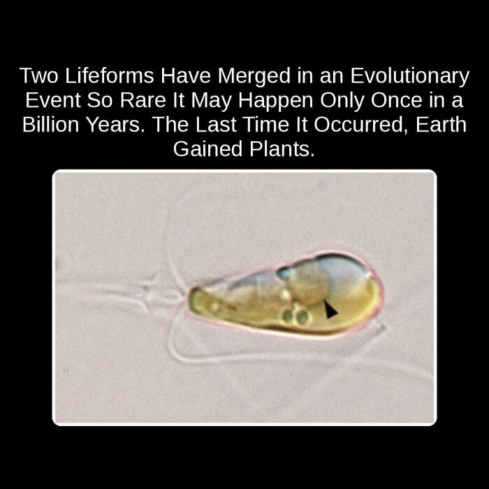 81 Weird But True Facts That'll Totally Surprise You
