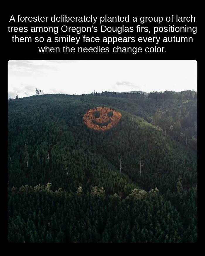 81 Weird But True Facts That'll Totally Surprise You