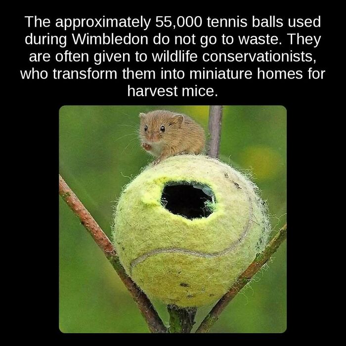 81 Weird But True Facts That'll Totally Surprise You