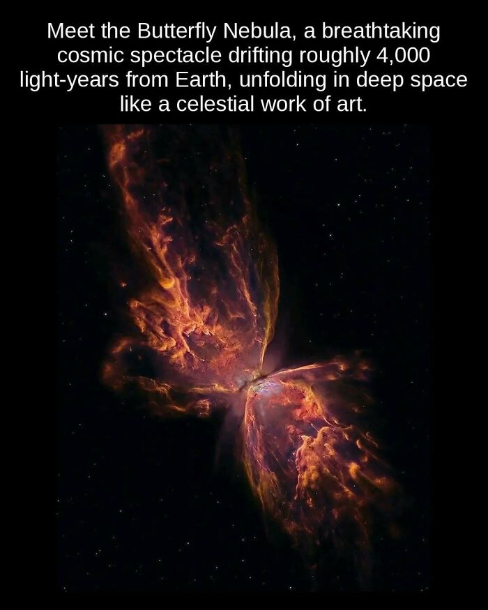 81 Weird But True Facts That'll Totally Surprise You
