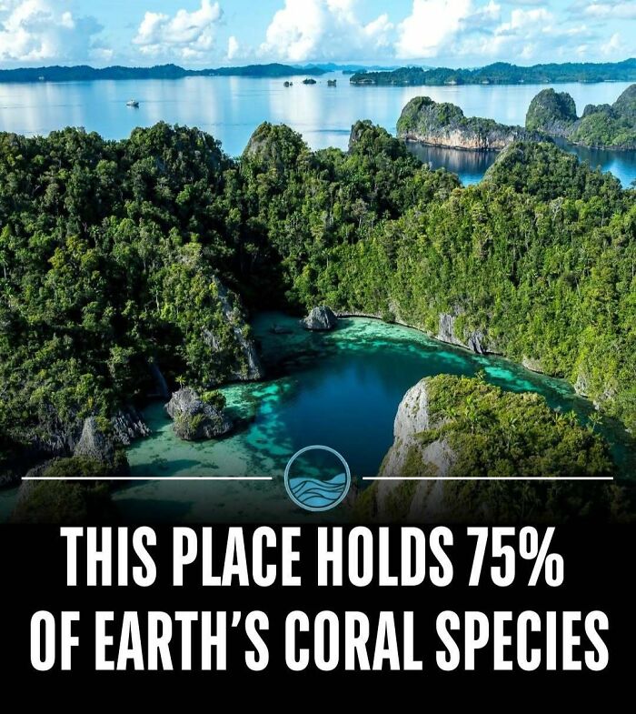 81 Weird But True Facts That'll Totally Surprise You