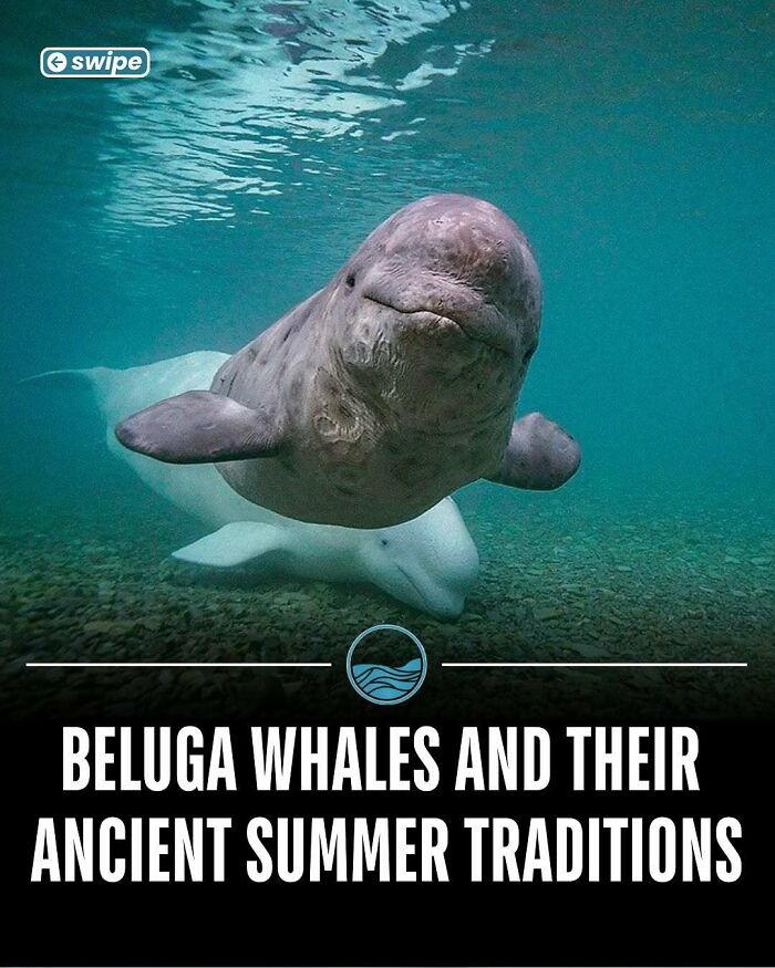 81 Weird But True Facts That'll Totally Surprise You