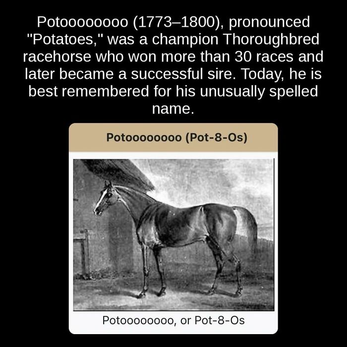 81 Weird But True Facts That'll Totally Surprise You