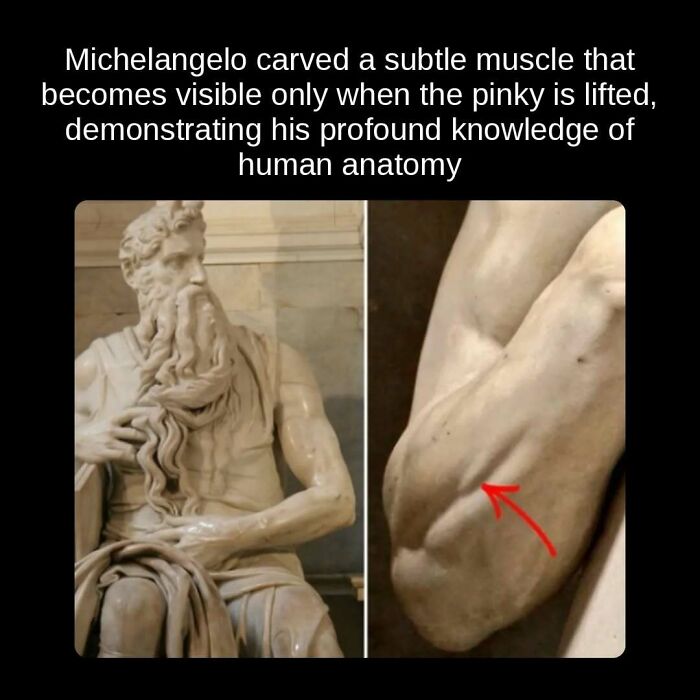 81 Weird But True Facts That'll Totally Surprise You