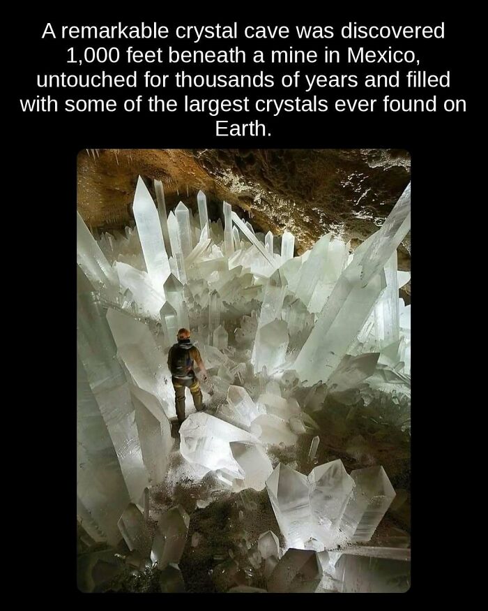 81 Weird But True Facts That'll Totally Surprise You
