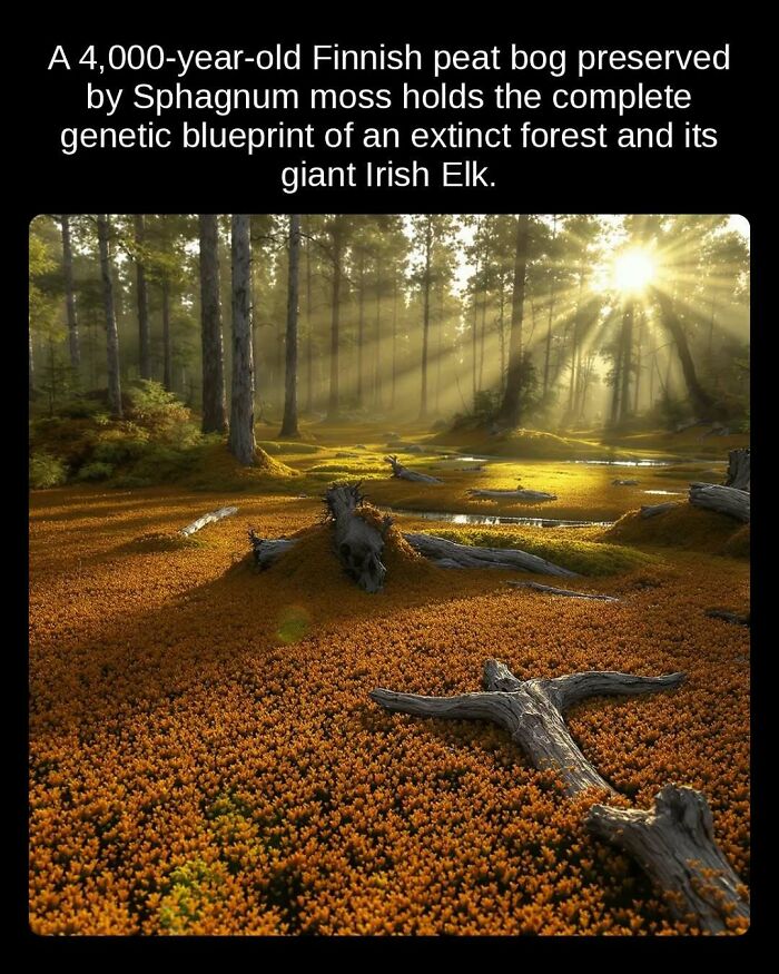 81 Weird But True Facts That'll Totally Surprise You