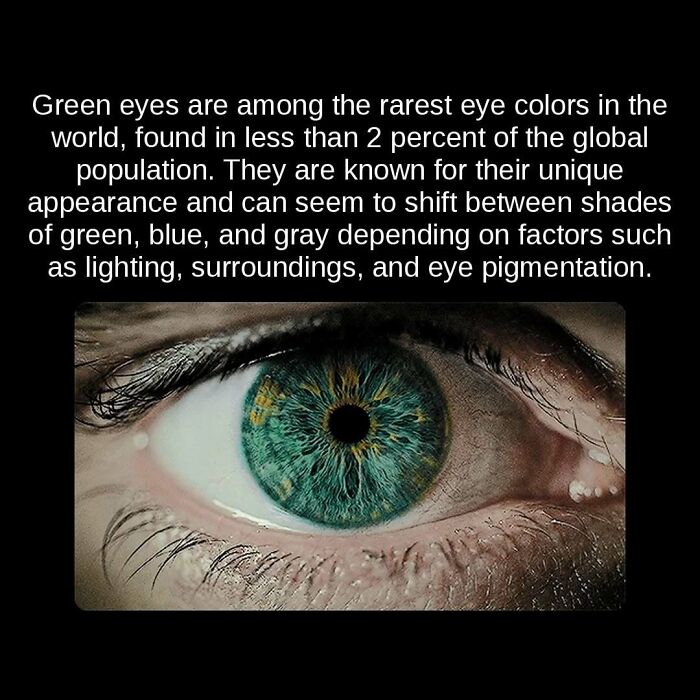 81 Weird But True Facts That'll Totally Surprise You