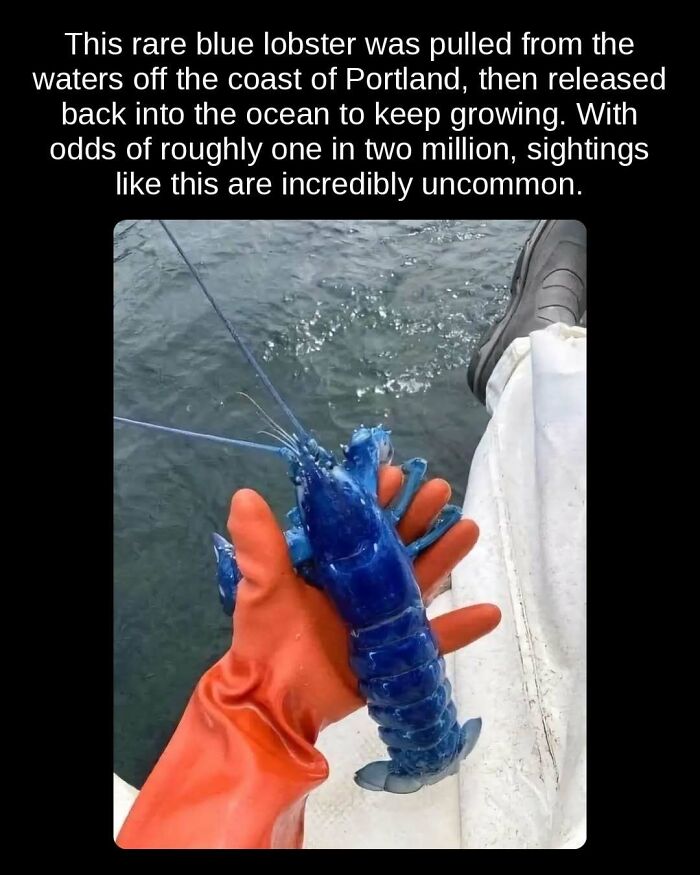 81 Weird But True Facts That'll Totally Surprise You