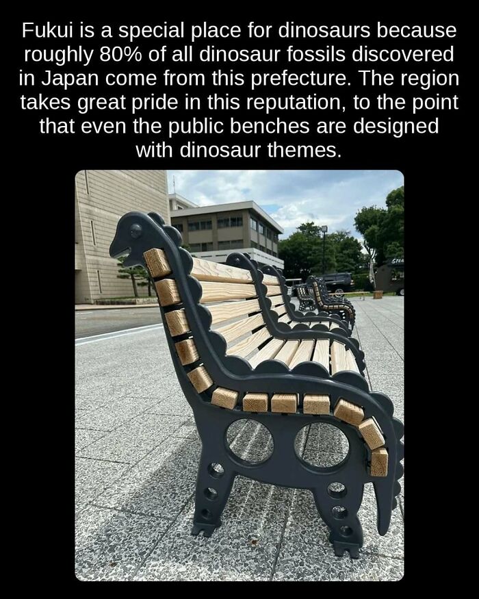 81 Weird But True Facts That'll Totally Surprise You