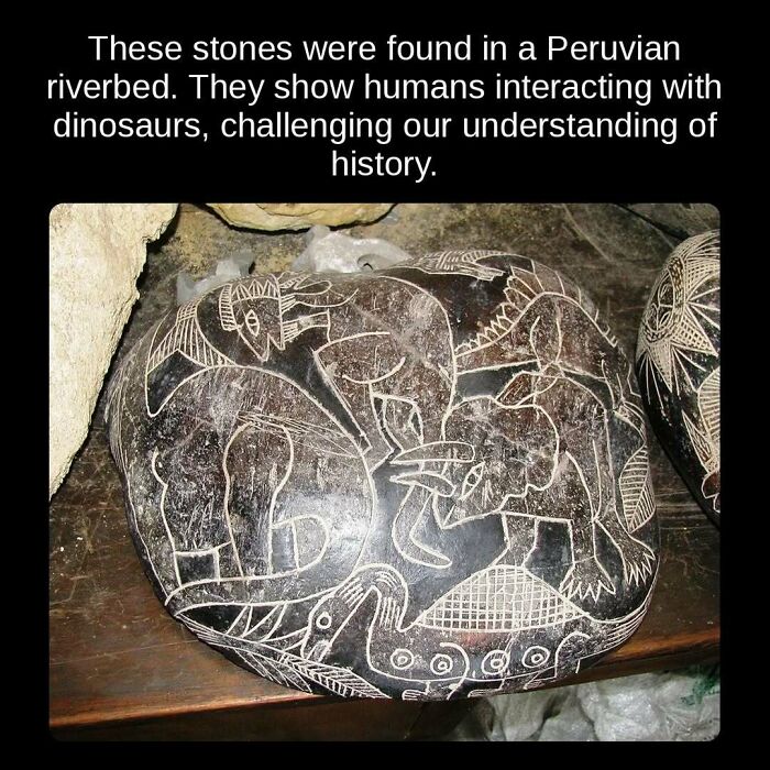 81 Weird But True Facts That'll Totally Surprise You
