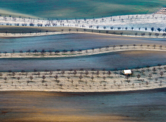 “Frosty Vineyards” By Laszlo Siman