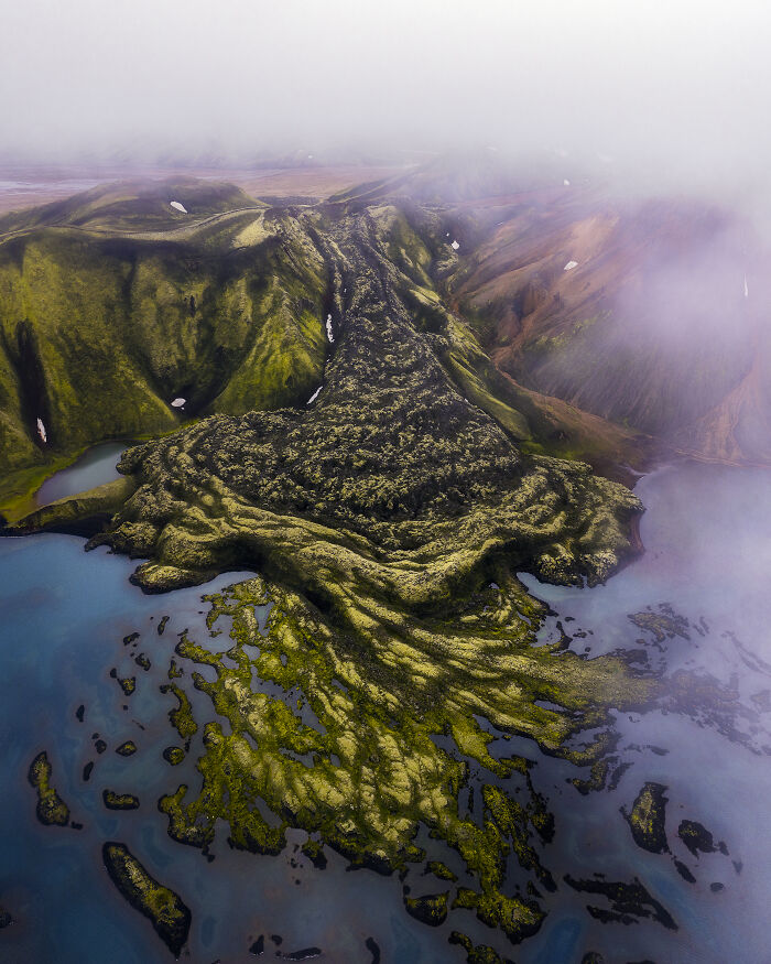 “Lava Roots” By Brianne Manuel