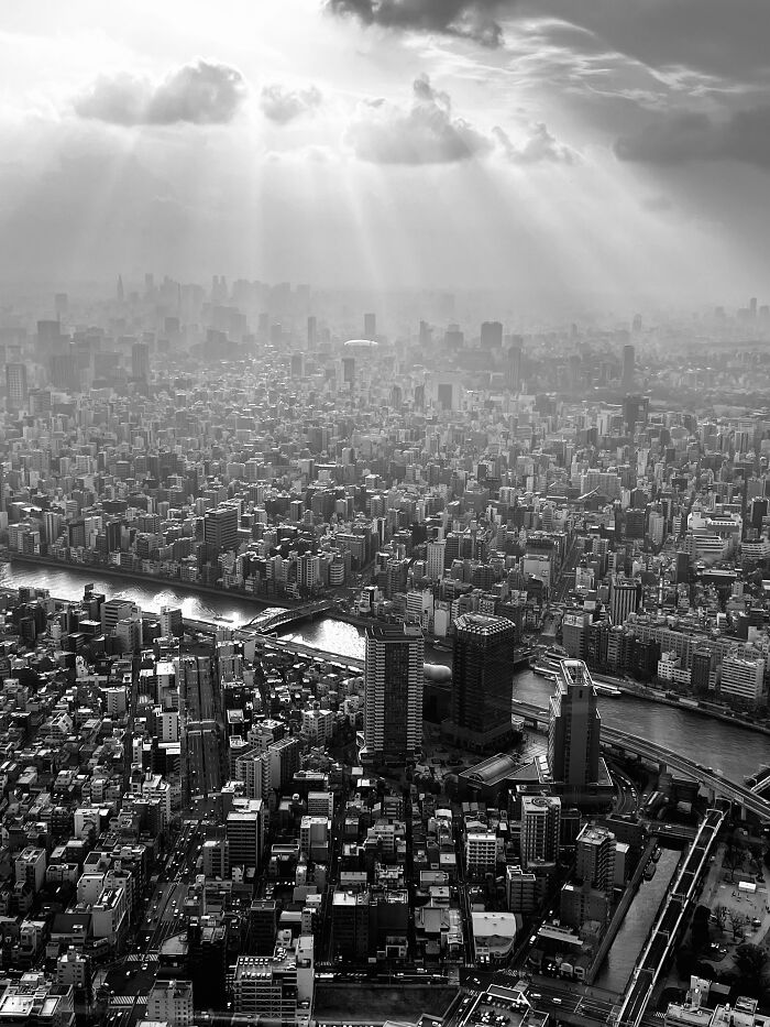 “Tokyo Light Show” By Max Horng