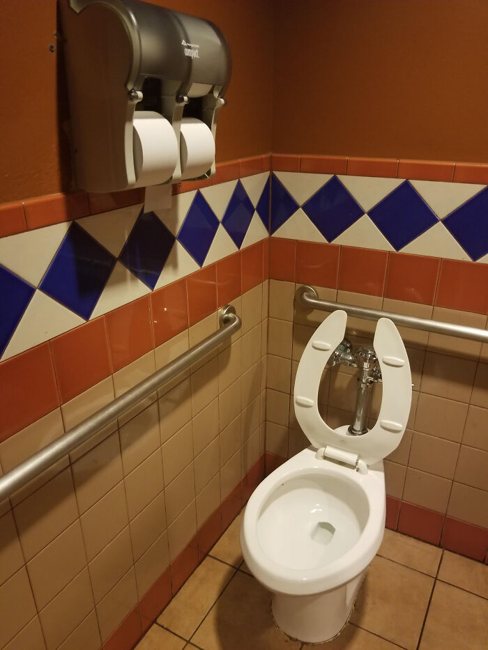 Accessibility Fail: Grab Bars Yes, Toilet Paper Dispenser Too High