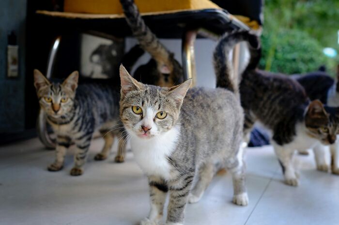 They Saw The Wildest Stuff In Someone Else’s House And Swore Off Visiting Forever