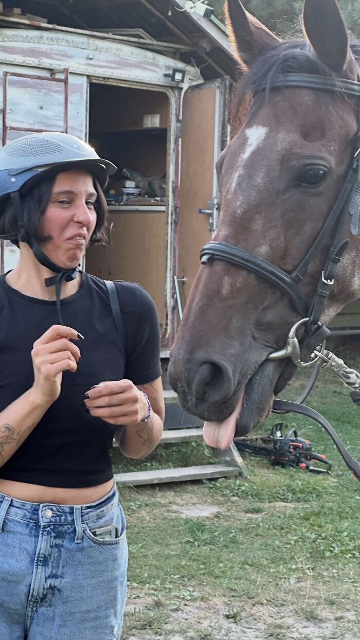 When You Try For An Elegant Shot But Get This Horse Drama Instead
