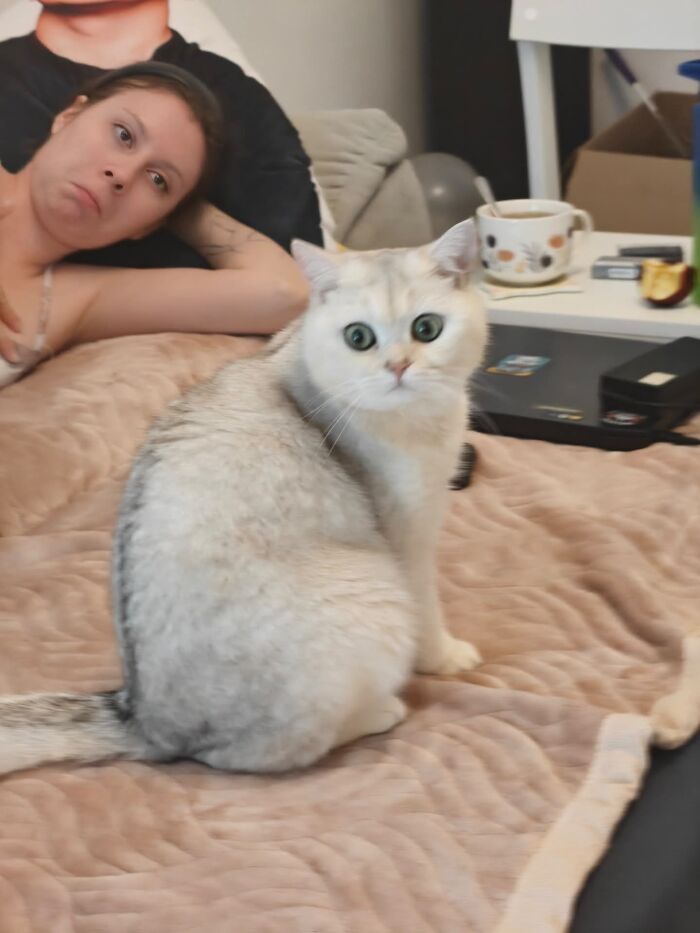 Wait... Your Partner Took THAT Photo?! Prepare to Laugh!