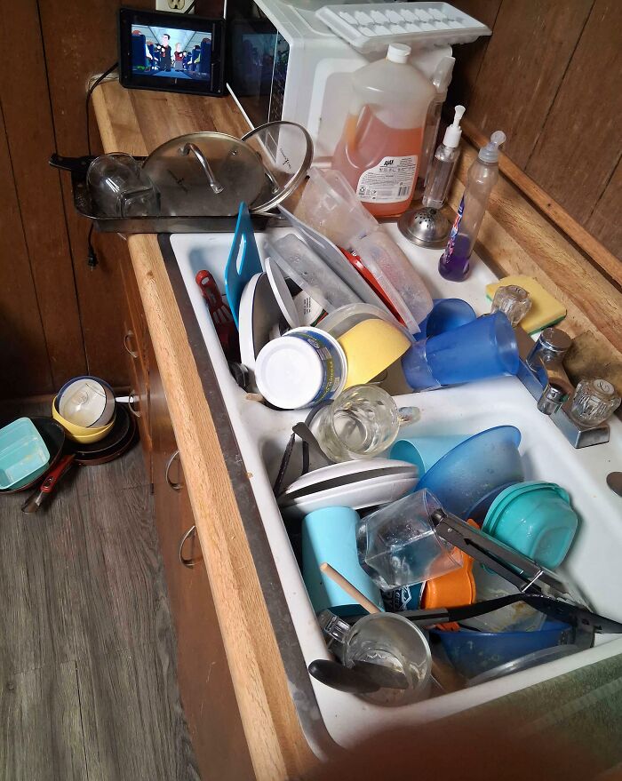 The Wildest People Who Totally Broke The Rules (And Our Patience)