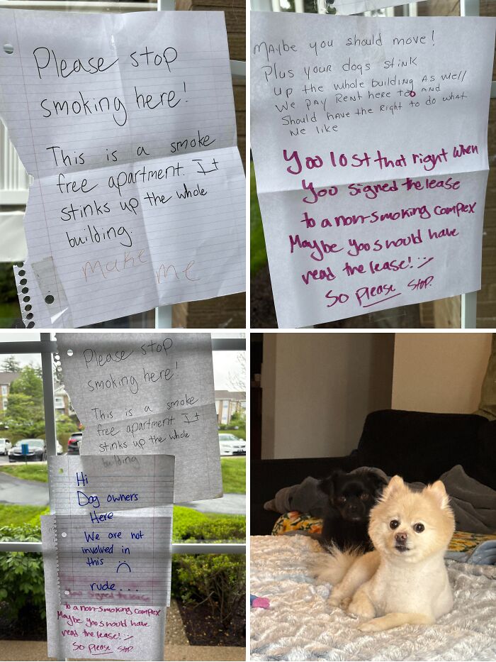 The Wildest People Who Totally Broke The Rules (And Our Patience)