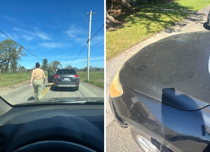 The Wildest People Who Totally Broke The Rules (And Our Patience)