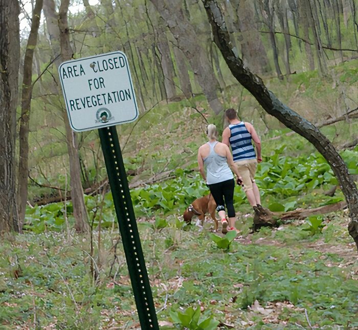 The Wildest People Who Totally Broke The Rules (And Our Patience)