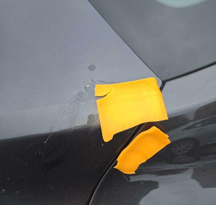 The Wildest People Who Totally Broke The Rules (And Our Patience)