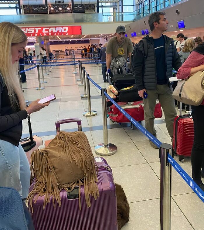 The Wildest People Who Totally Broke The Rules (And Our Patience)