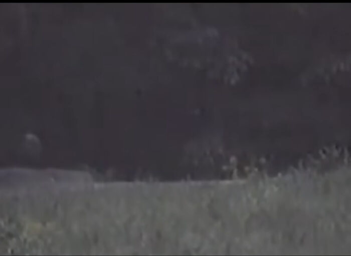 Wait, They Actually Ranked the Creepiest Ghost Videos Ever?