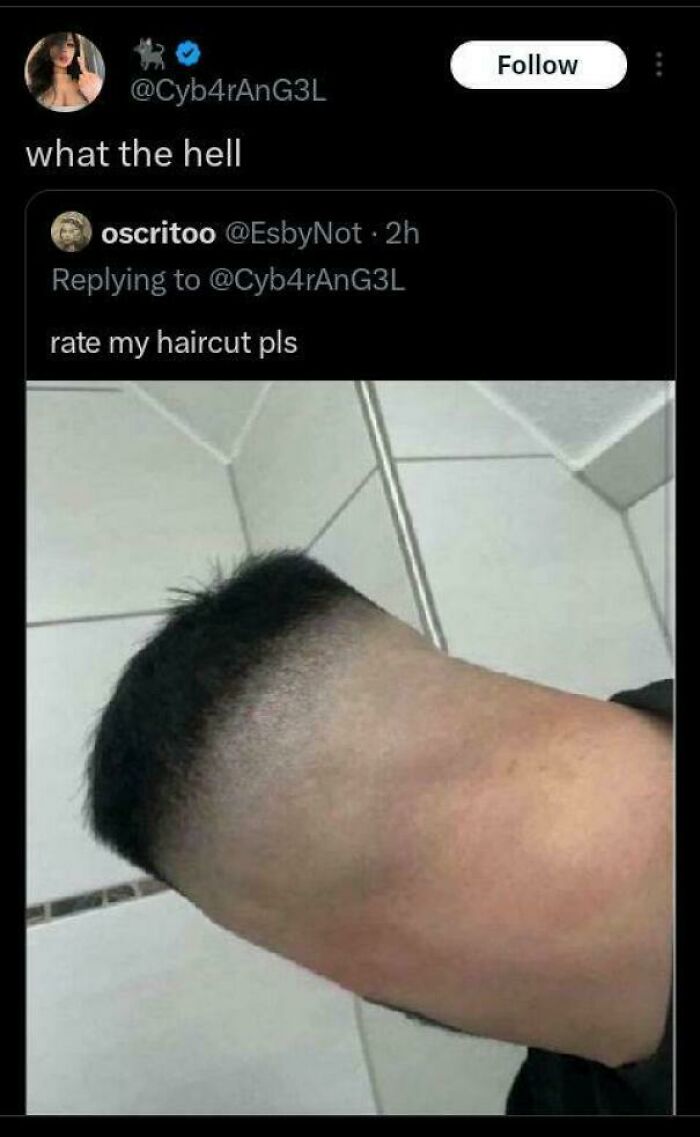 Looks Like Someone Put Hair on a Stump After Cutting Off Their Arms