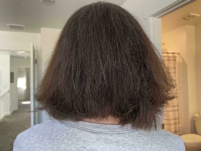 Can We All Just Agree This Haircut is a Total Disaster?