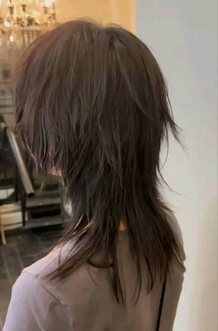 Wait, They Actually Did *This* Haircut?! The Funniest Salon Fails Ever