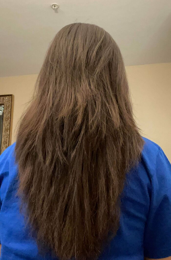Wait, They Actually Did *This* Haircut?! The Funniest Salon Fails Ever