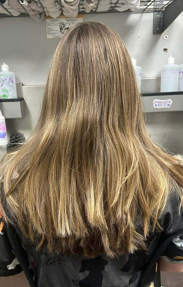 Wait, They Actually Did *This* Haircut?! The Funniest Salon Fails Ever