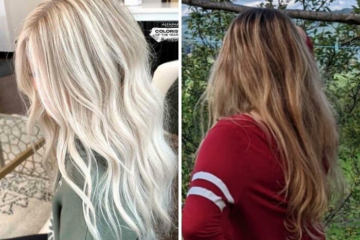 Wait, They Actually Did *This* Haircut?! The Funniest Salon Fails Ever